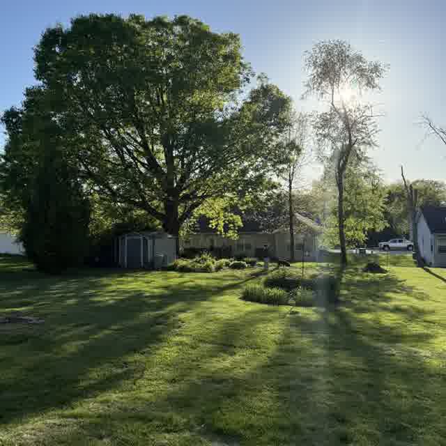 Sunny backyard with green lawn, trees, garden shed, and a person with a dog in the distance